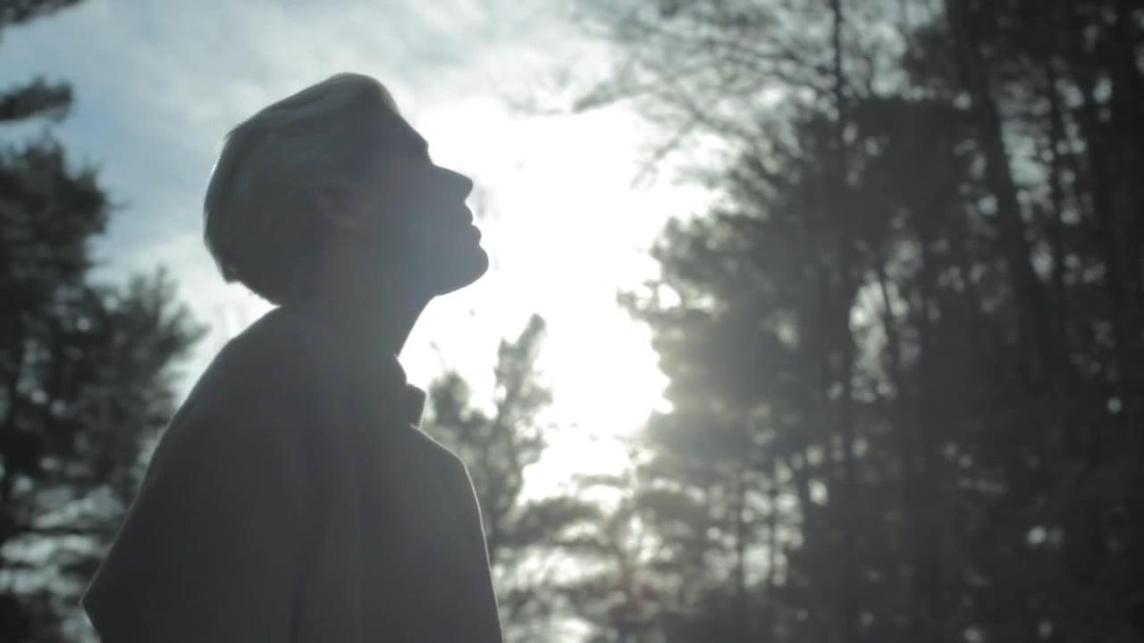 The Luxury Collection