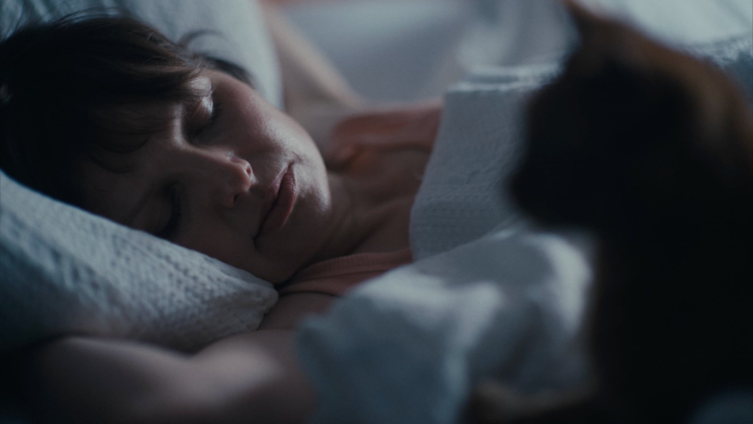 Battersea Dogs & Cats Home