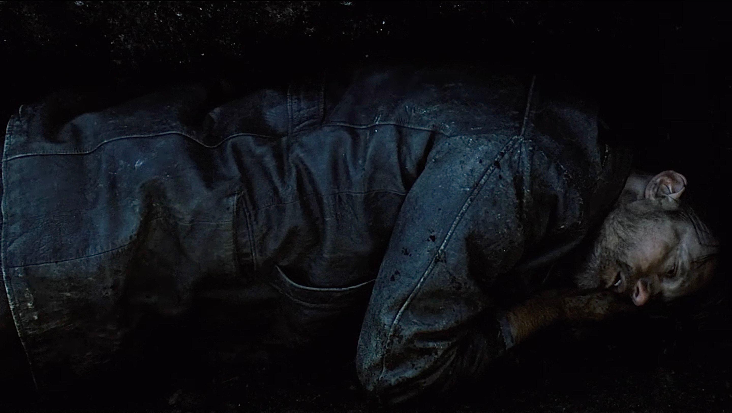 These New Puritans "A Season In Hell"