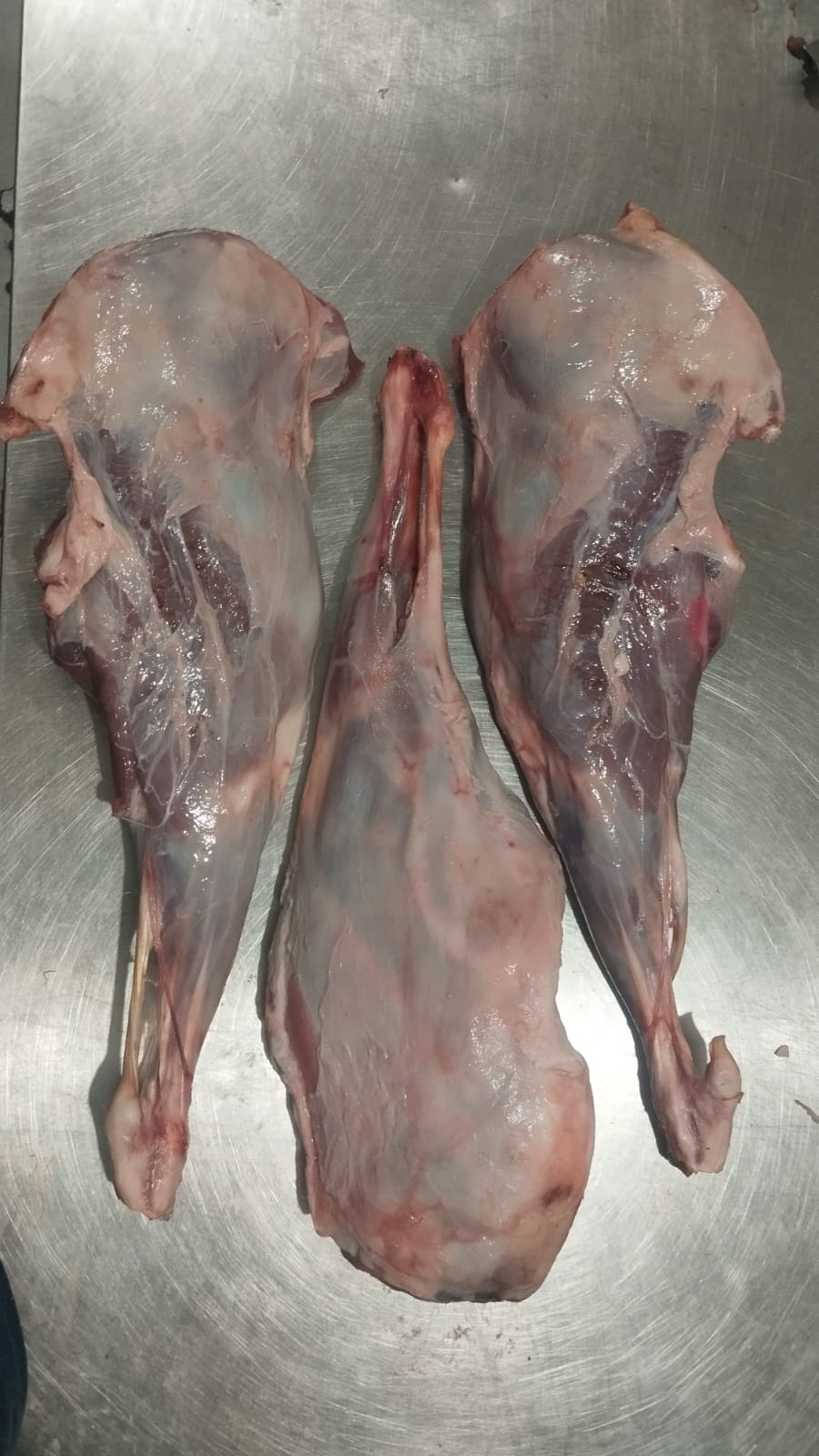 Lamb Leg Bone In