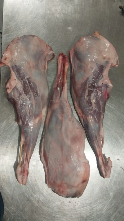 Lamb Leg Bone In