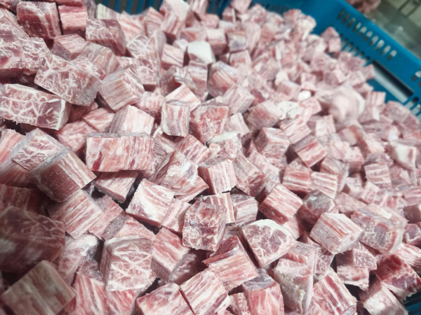 Saikoro Meltique (500gr)