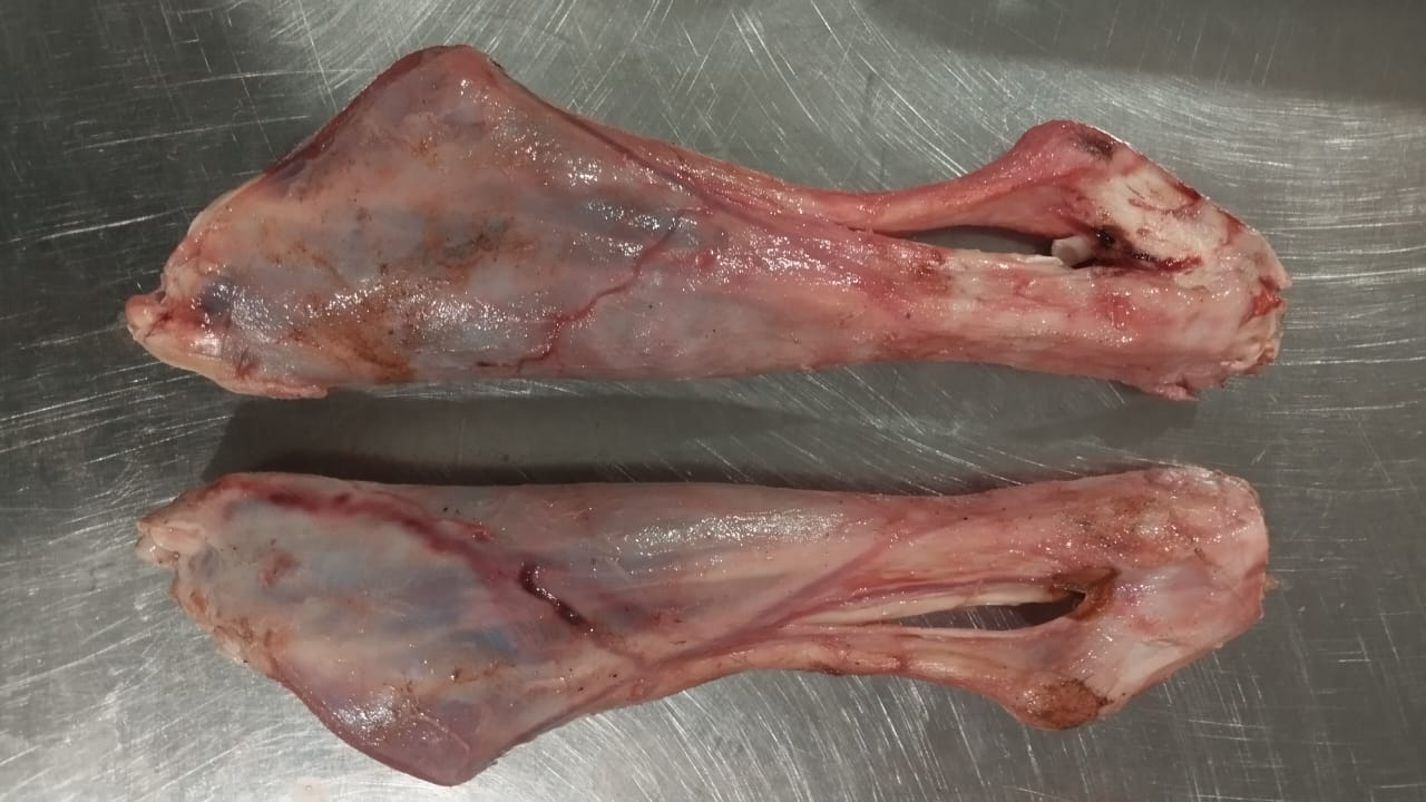 Lamb Hind Shank