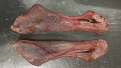 Lamb Hind Shank