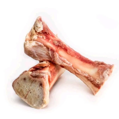 Bone Marrow