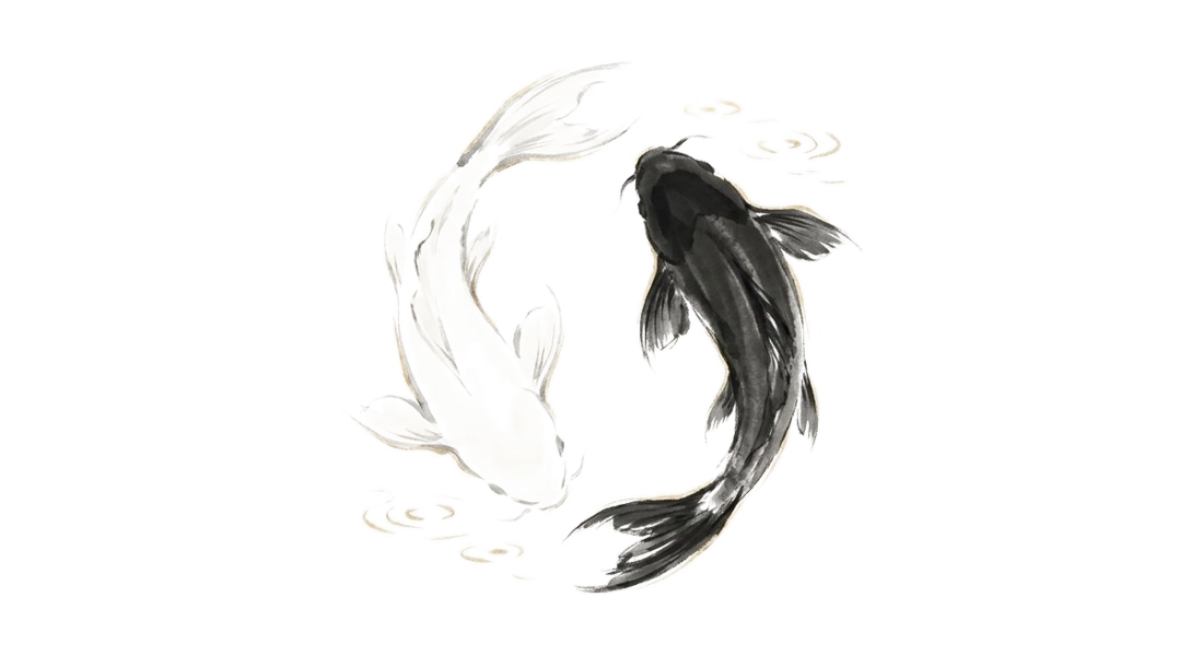 Deux koï en yin-yang - in Yin