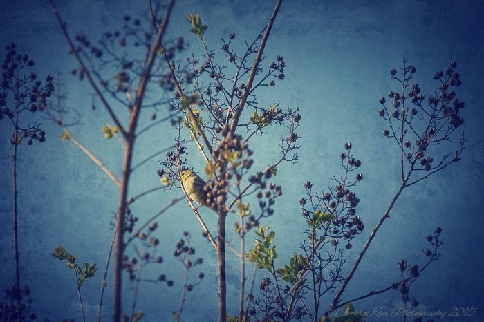 Nature