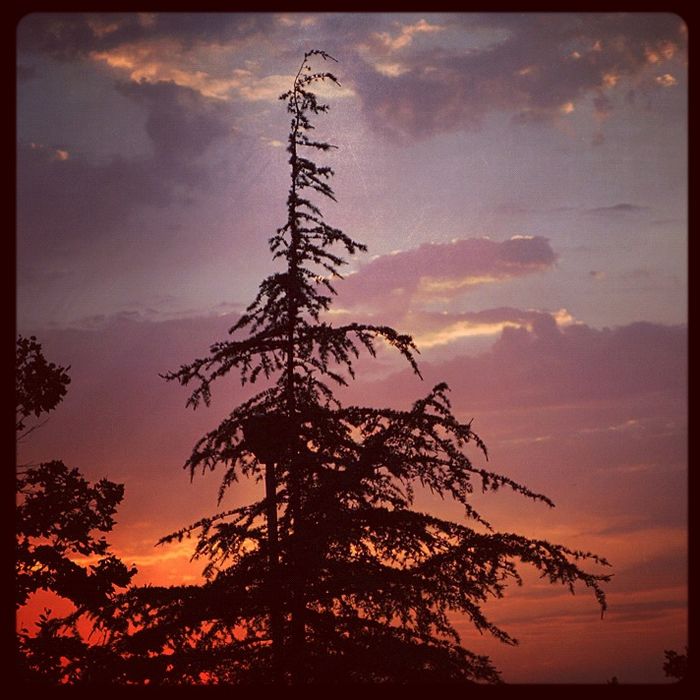 Nature