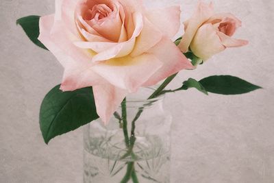 Antiqued Floral Series II