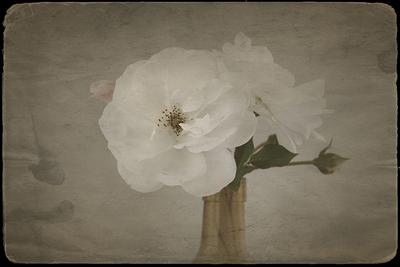 Some New Material...and Some Reworked Older Stuff.