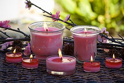 Japanese Cherry Blossom- Lovable Soy Candles at www.Greenerlandz.com!