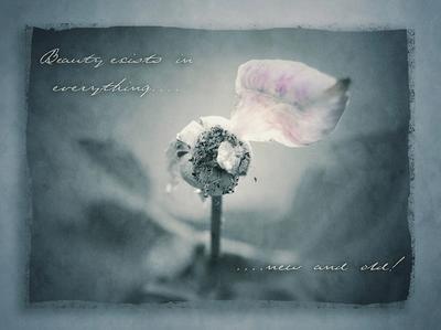 Fine Art & Still Life