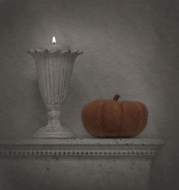 Fine Art & Still Life