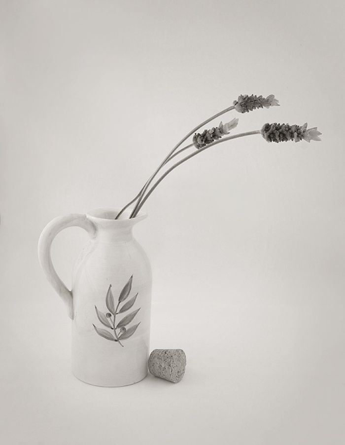 Fine Art & Still Life