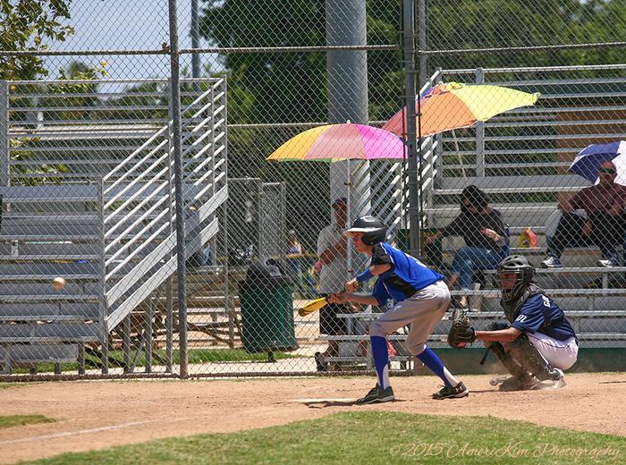 Cypress Pony, 14 U All Stars Win Cypress Tourney!