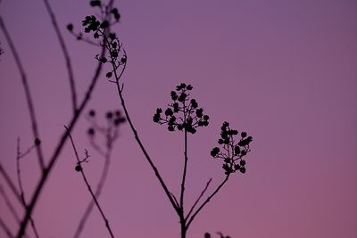 December Sky...