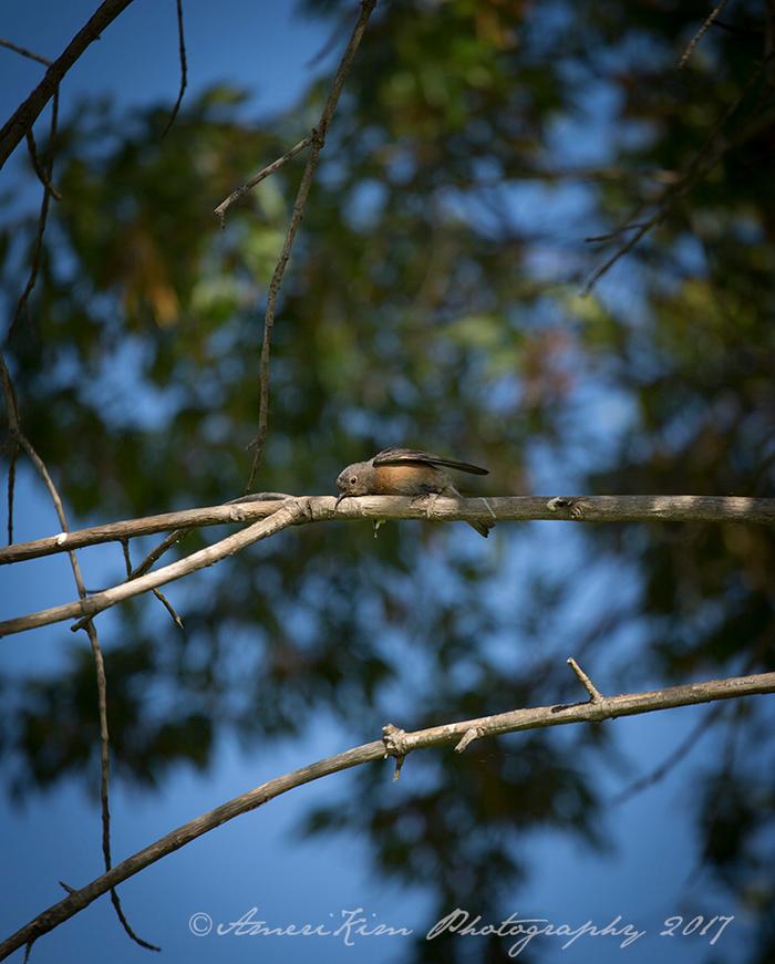 Monday Morning Nature Walk