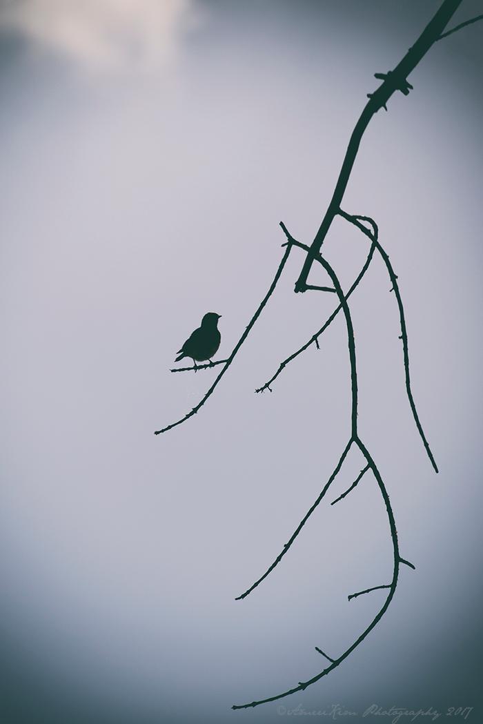 Monday Morning Nature Walk