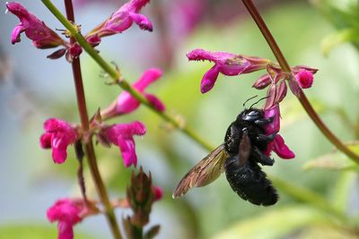 Getting Buzzy....