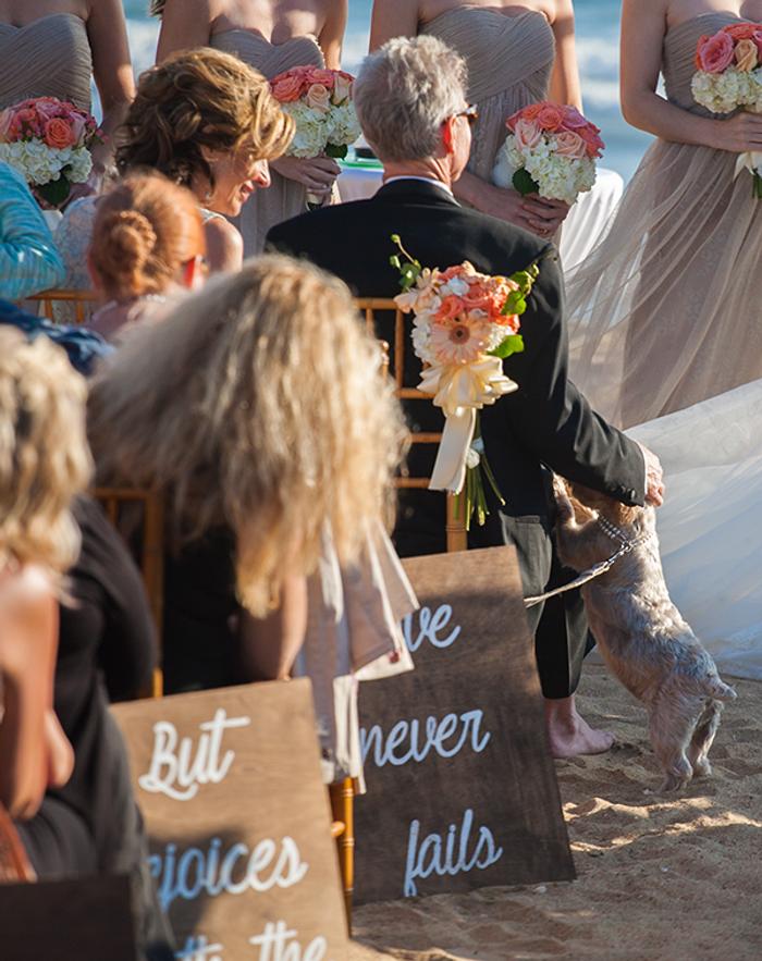 Barefoot Wedding on the Beach...Kaitlyn & Tony 8-06-16