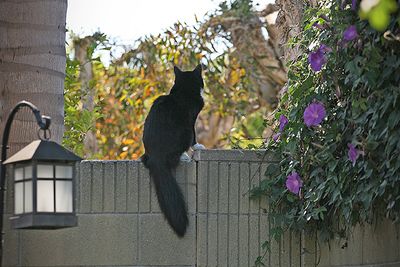 In Full Bloom!