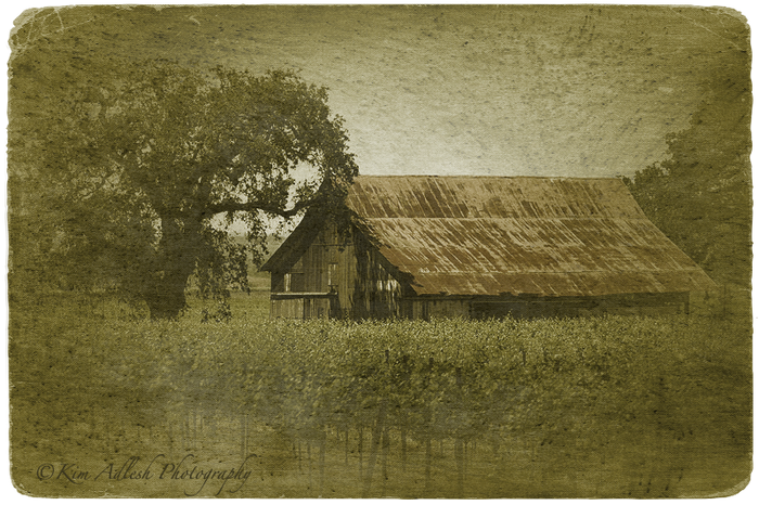 Vintage Memories......