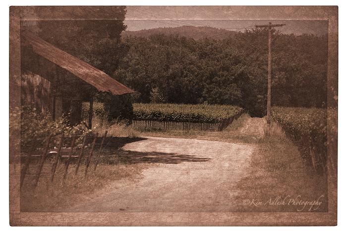 Vintage Memories......
