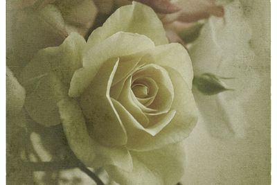 Vintage Memories......