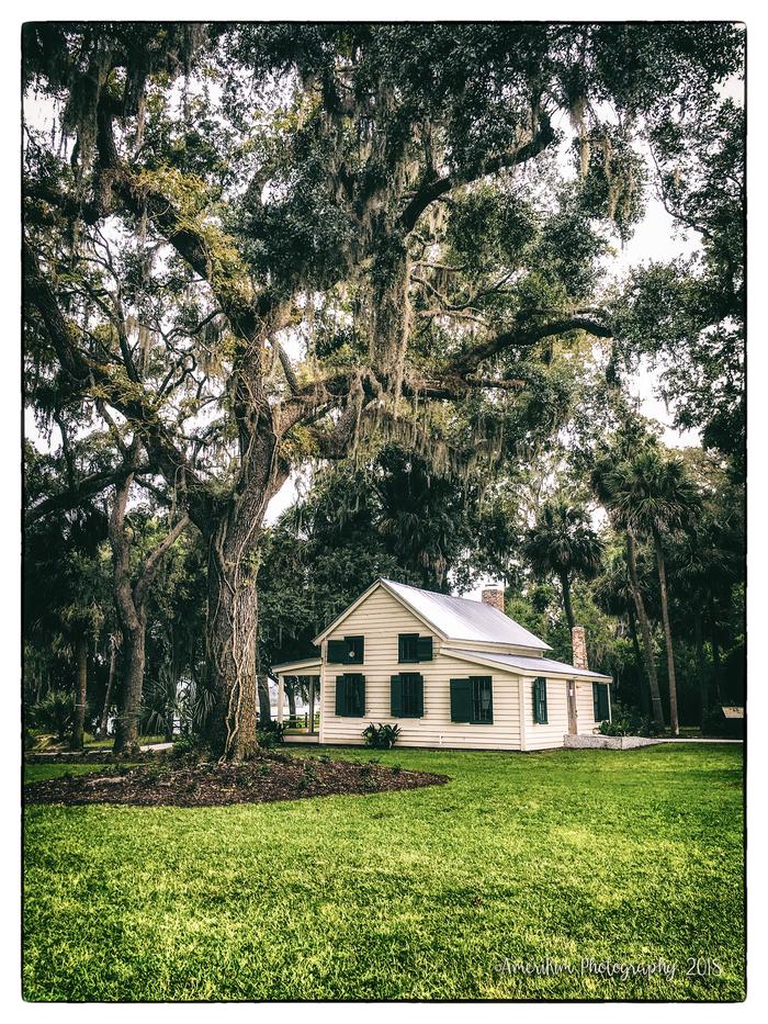 South Carolina...I love you!