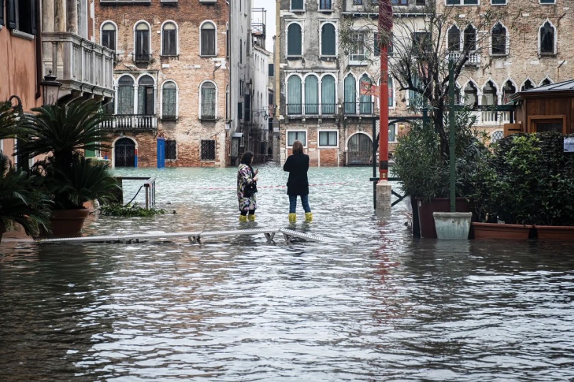 גל סערה שטף את העיר ב-17 בנובמבר 2019 והמים הגיעו ל-187 ס"מ מעל גובה פני הים הממוצע

רוברטו סילבינו/NurPhoto דרך Getty Images