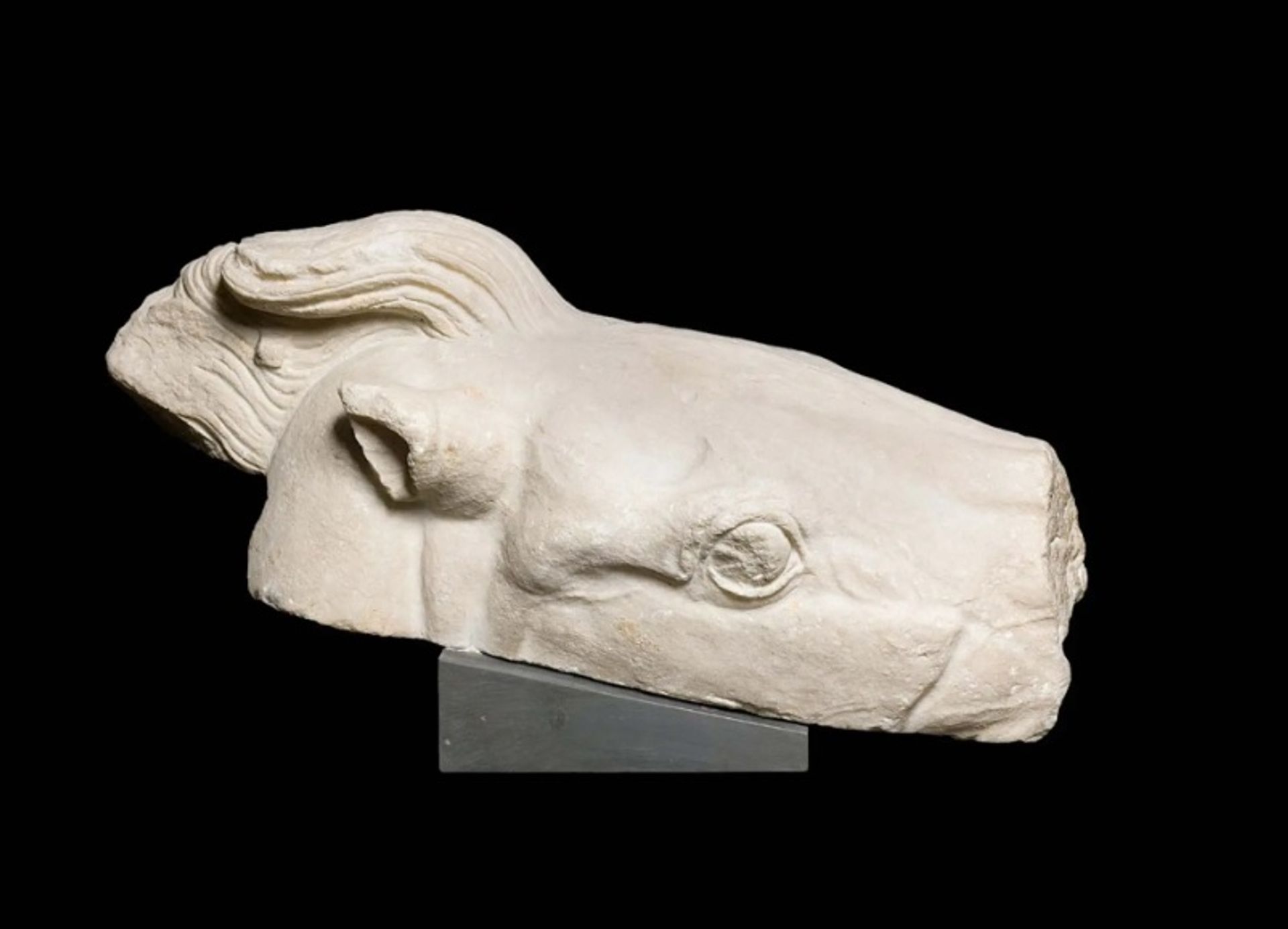 אחד משלושת שברי פסלי הפרתנון באוסף מוזיאוני הוותיקן, המתאר חלק מראשו של הסוס המושך את המרכבה של אתנה

מוזיאוני הוותיקן