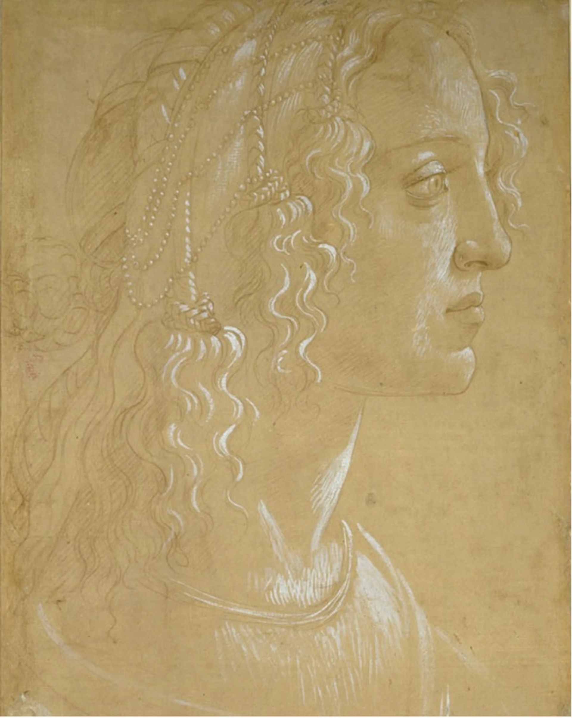המחקר של סנדרו בוטיצ'לי של ראש אישה בפרופיל "לה בלה סימונטה" (בסביבות 1485) צויר באמצעות גואש לבן על נייר מוכן בצבע חום בהיר

©️ מוזיאון אשמולאן