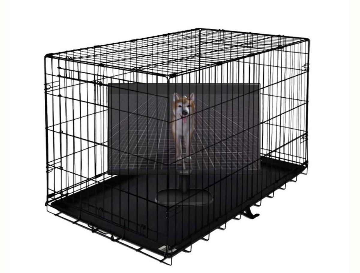 חיית מחמד וירטואלית ב- Metaverse Petshop (בטא) (2022)

באדיבות NowHere, ניו יורק
