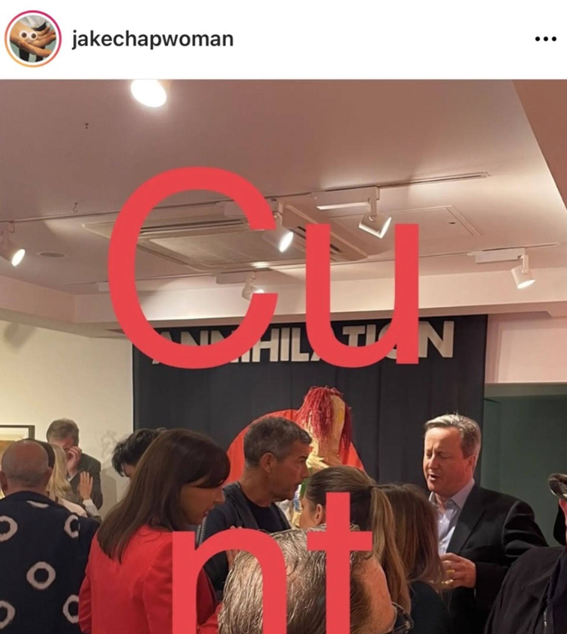 ג'ייק צ'פמן פרסם תמונה באינסטגרם כדי להביע את מורת רוחו מדיוויד קמרון שנכח בפתיחת התערוכה שלו ב-Paradise Row Projects.

באדיבות אינסטגרם