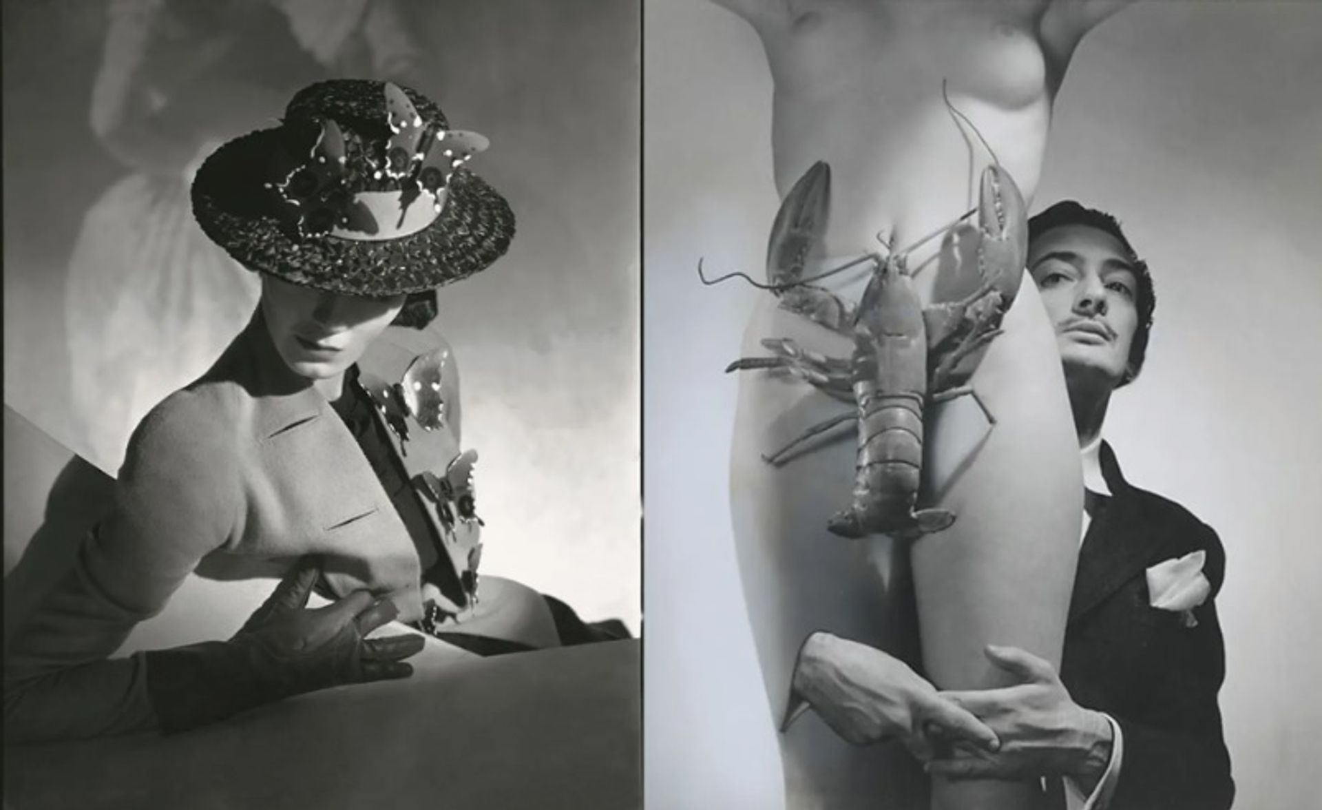 אלזה סקיאפרלי צולמה על ידי הורסט פ הורסט עבור ווג ארה"ב ב-1937 וסלבדור דאלי על ידי ג'ורג' פלאט לינס ב-1939

© Horst P. Horst, Vogue / Condé Nast; © עזבונו של ג'ורג' פלאט לינס