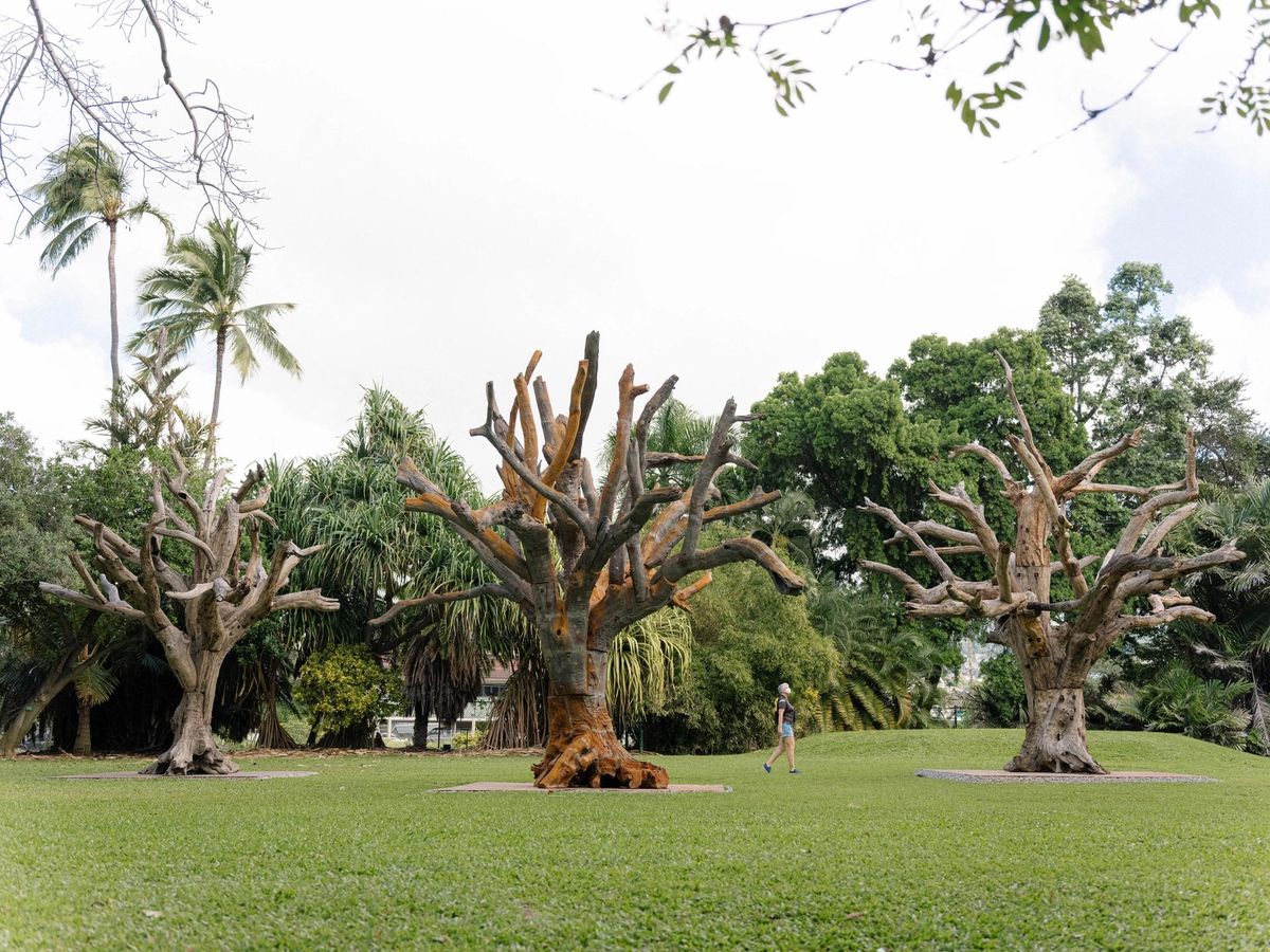 מתוך roots(2018) של Ai Weiwei

צילום: לילה לי. באדיבות Hawaii Contemporary
