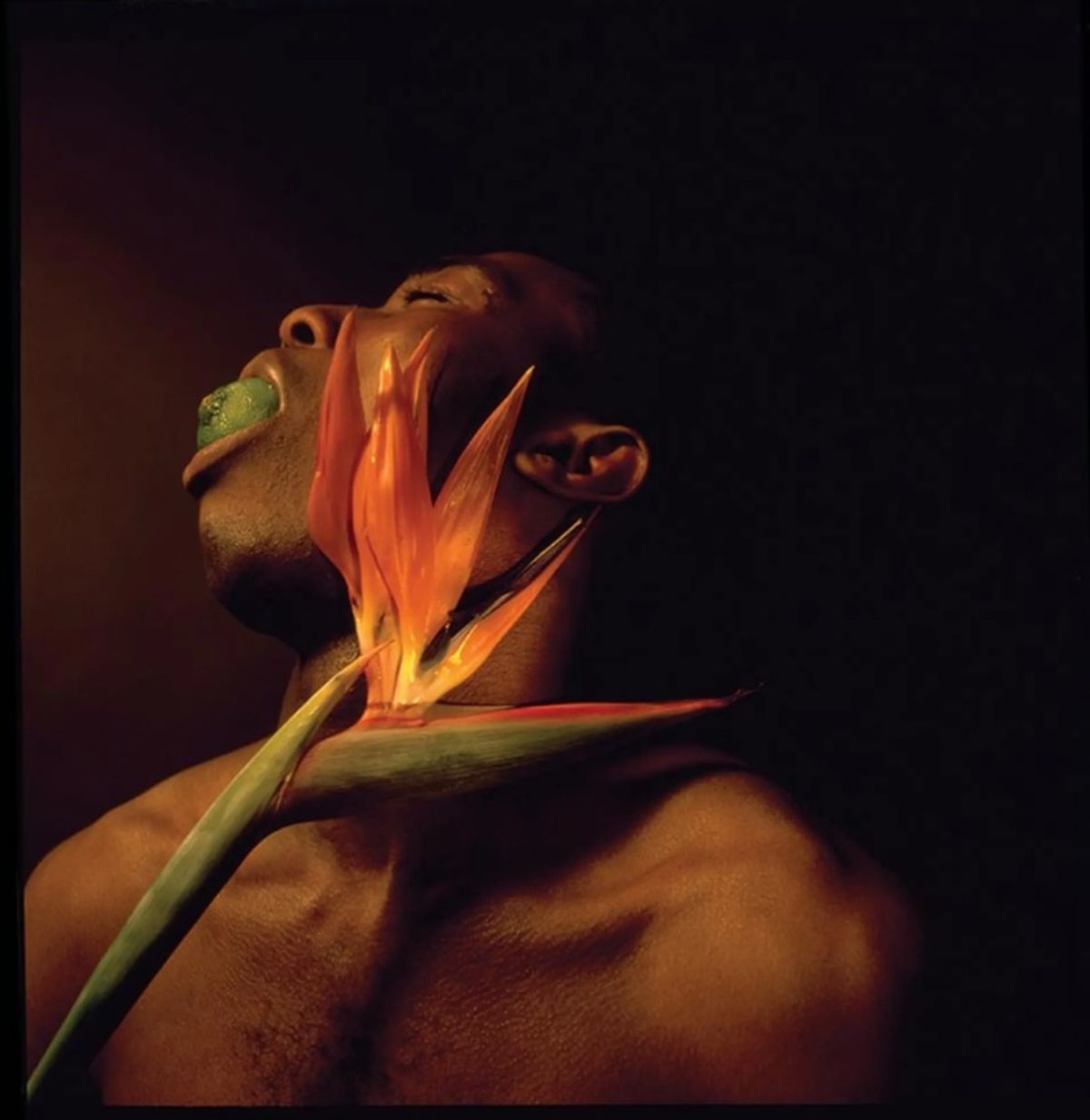 Nothing To Lose II של הצלם יליד ניגריה Rotimi Fani-Kayodé, מהסדרה Bodies of Experience (1989)

באדיבות אוסף Revue Noire