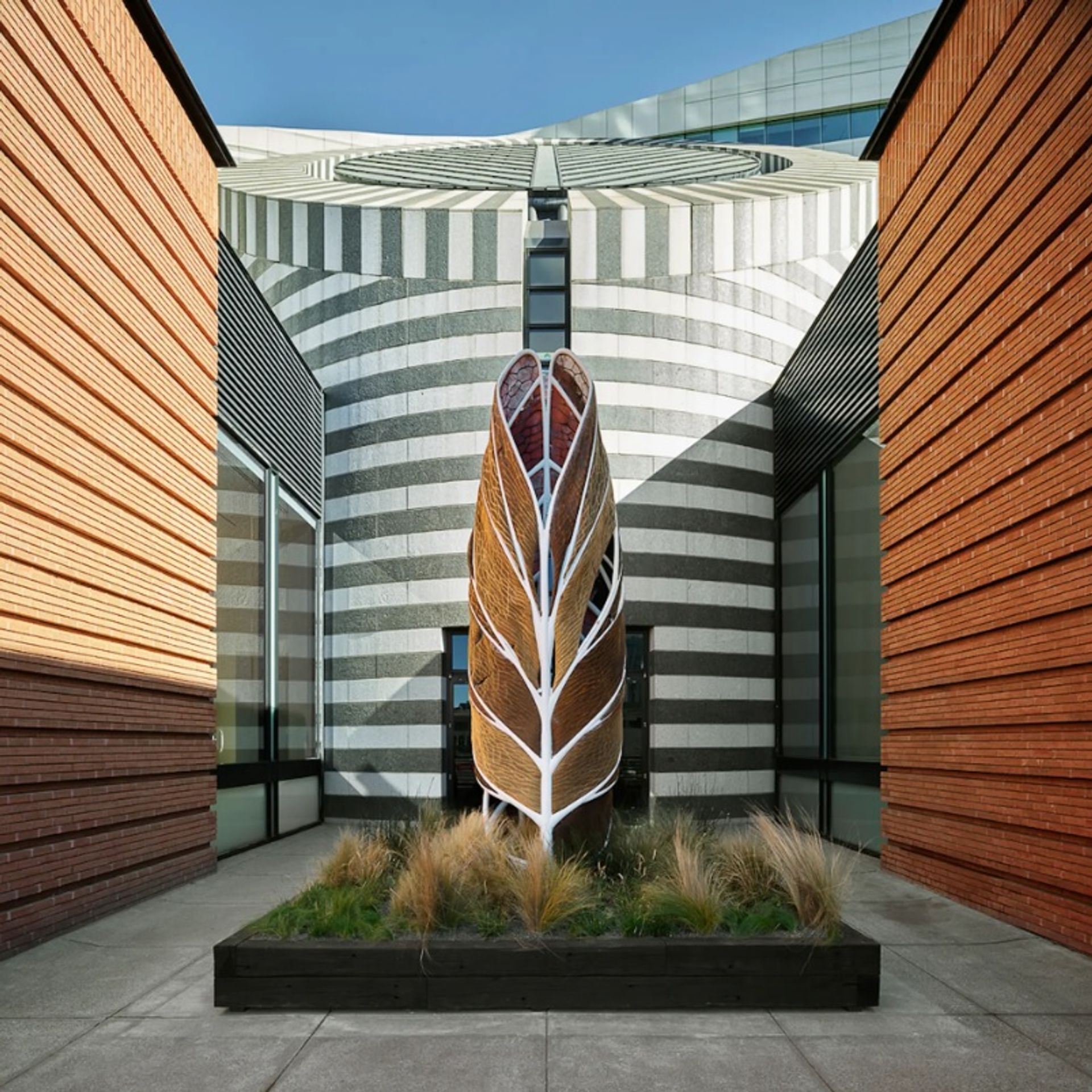תצוגת התקנה של Nature x Humanity: Oxman Architects ב-SFMOMA

באדיבות SFMOMA, סן פרנסיסקו
