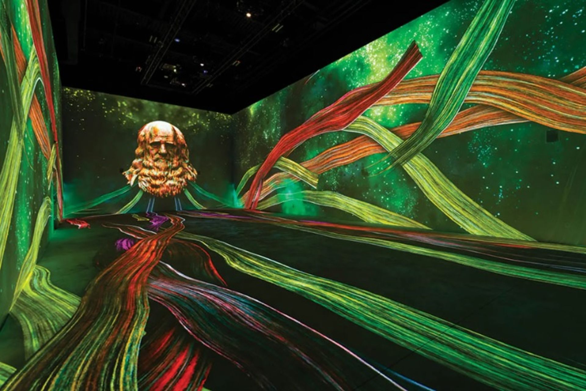 ויוה לה ג'וקונדה: מה לאונרדו היה חושב על התערוכה הדיגיטלית "המבלבלת" המתקיימת בעיר החטאים

Levi Elyson © 501 Studios, ARS