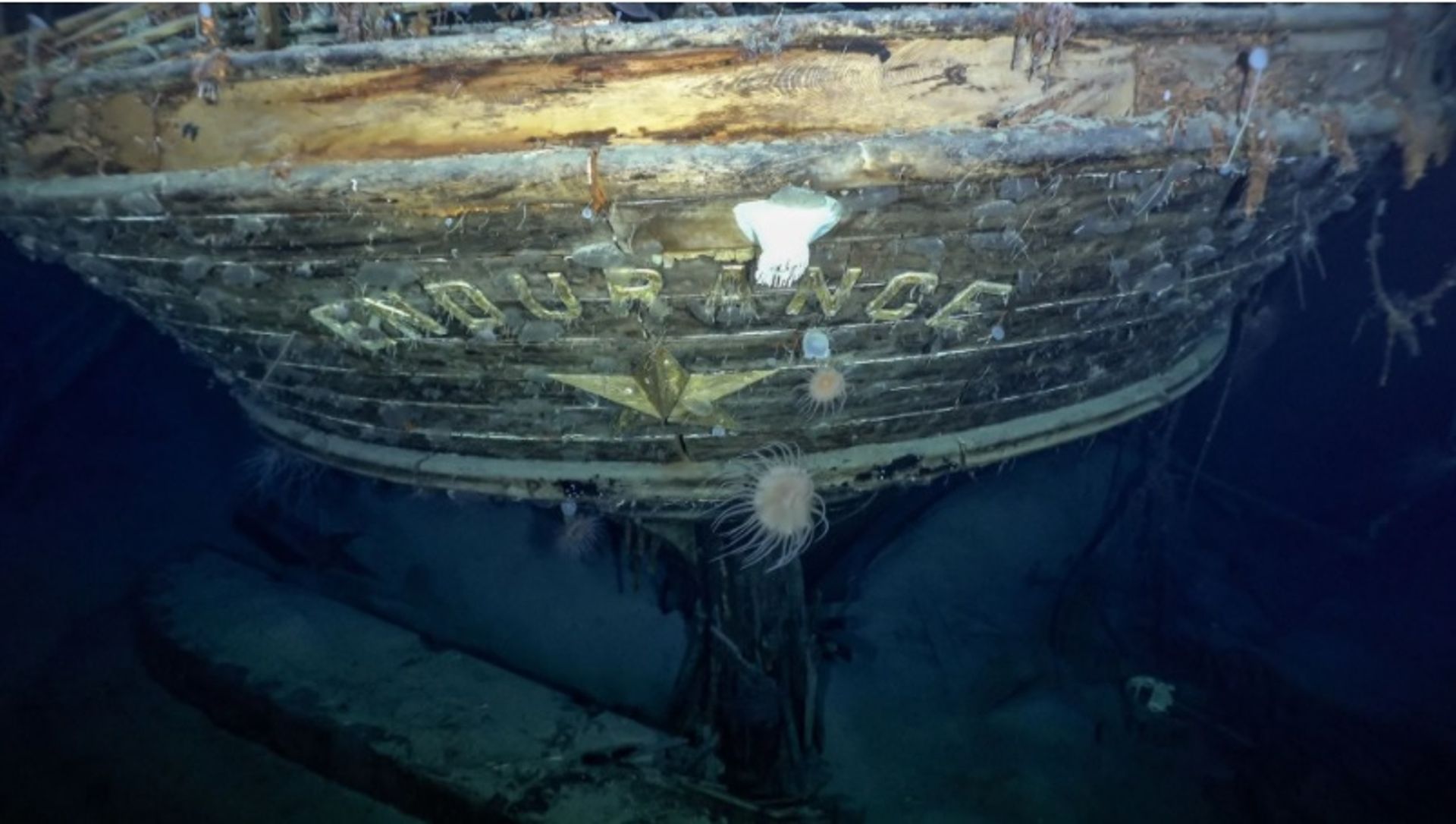 מדענים מצאו את ההריסות של ה- Endurance, ספינת המחקר לאנטרטיקה של ארנסט שקלטון.

באדיבות Endurance22 ו-Falklands Maritime Heritage Trust