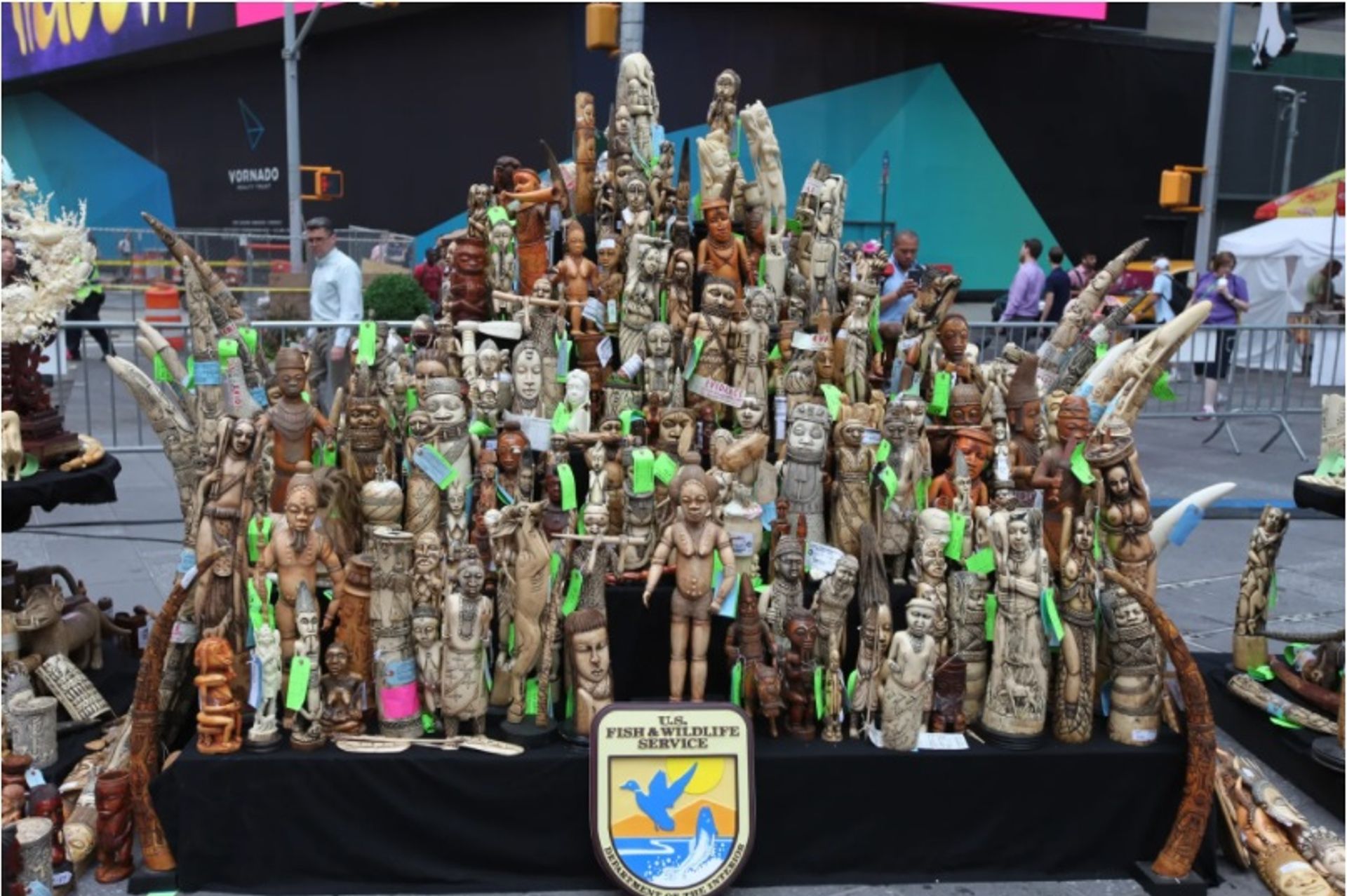 חלק מחפצי השנהב שנתפסו הושמדו במהלך אירוע ריסוק השנהב ב-2015 בטיימס סקוור.

טיילר גרין/FWS