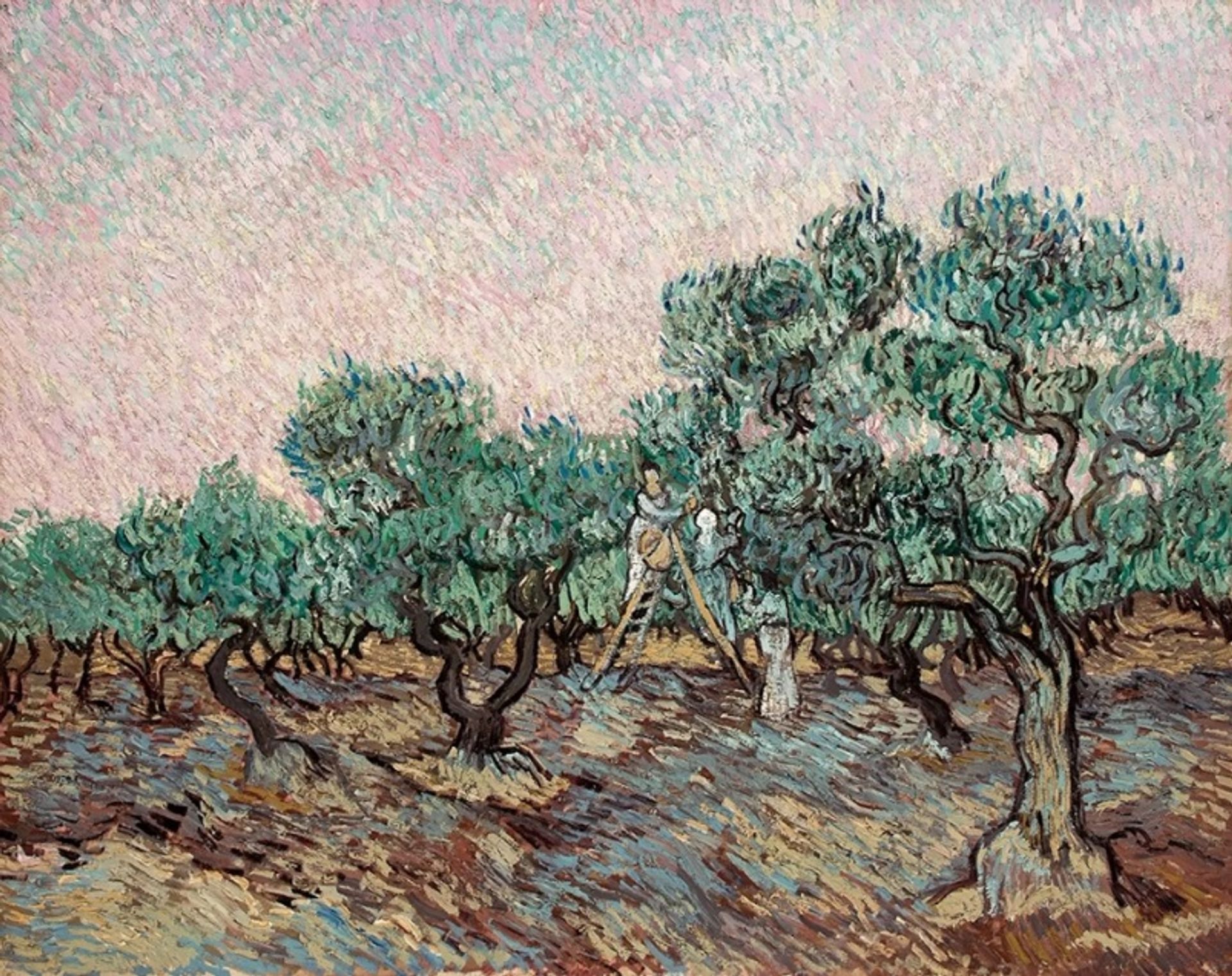 וינסנט ואן גוך, La cueilette des olives, 1889