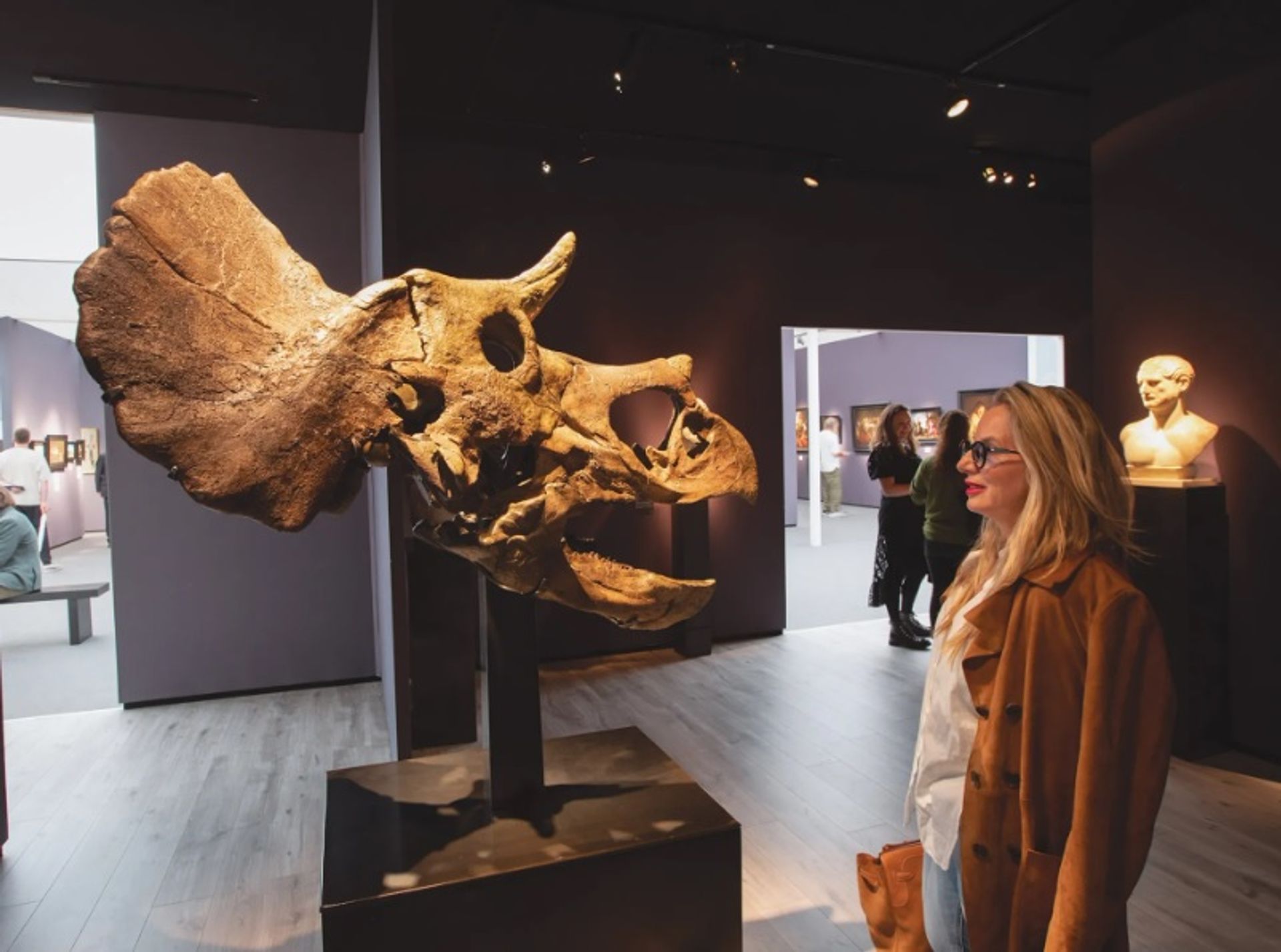 גולגולת מאובנת של טריצֶרָטוֹפּס צעיר, המוצגת ב"גלריה דיוויד אהרון", נמכרה מתחת למיליון ליש"ט. השלד המאובן הראשון של פרייז מאסטרס, תנין בן 50 מיליון שנה, נמכר ב-1.2 מיליון ליש"ט ב-2019 על ידי ArtAncient

דיוויד אוונס
