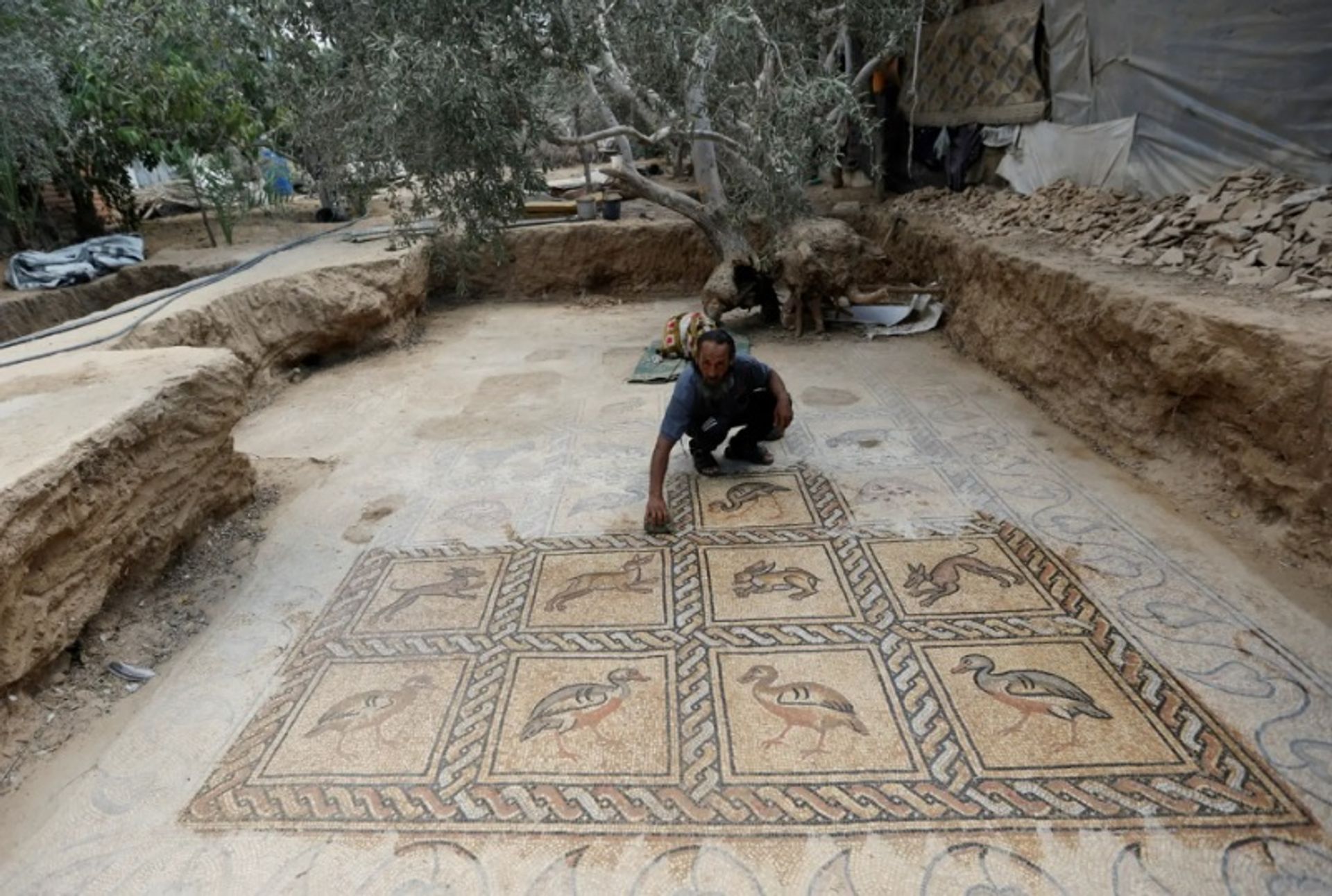 סלמאן אל-נבאהין עם רצפת הפסיפס שחשף בבוריג'

צילום: רויטרס