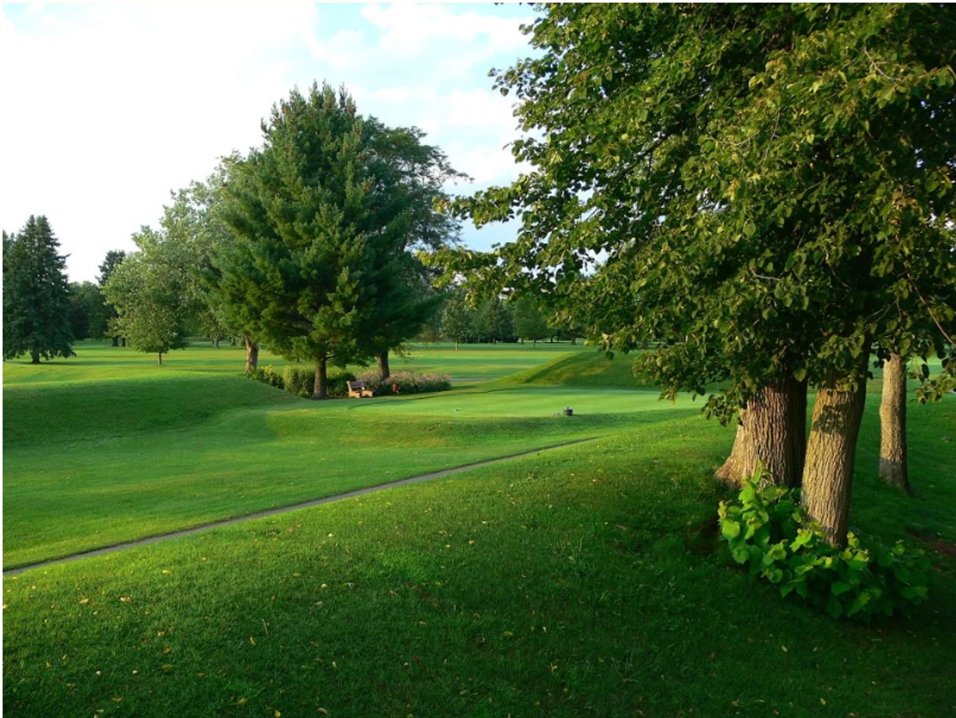 מבט על תלי העפר של אוקטגון בניוארק, אוהיו, שיוסבו ממגרש גולף לפארק ציבורי

ויקימדיה קומונס.