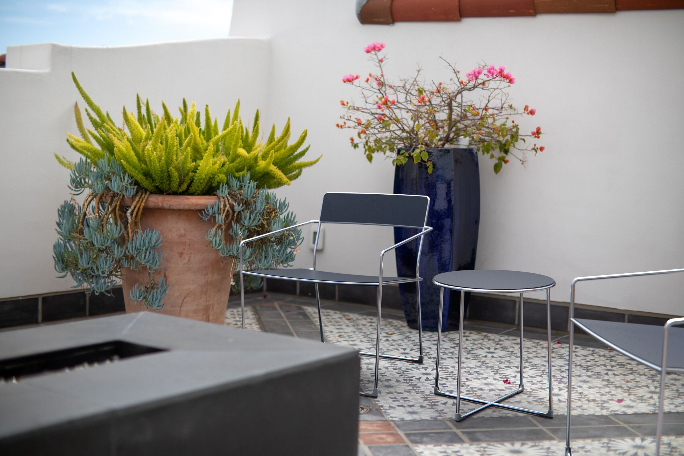Linia Lounge Chair