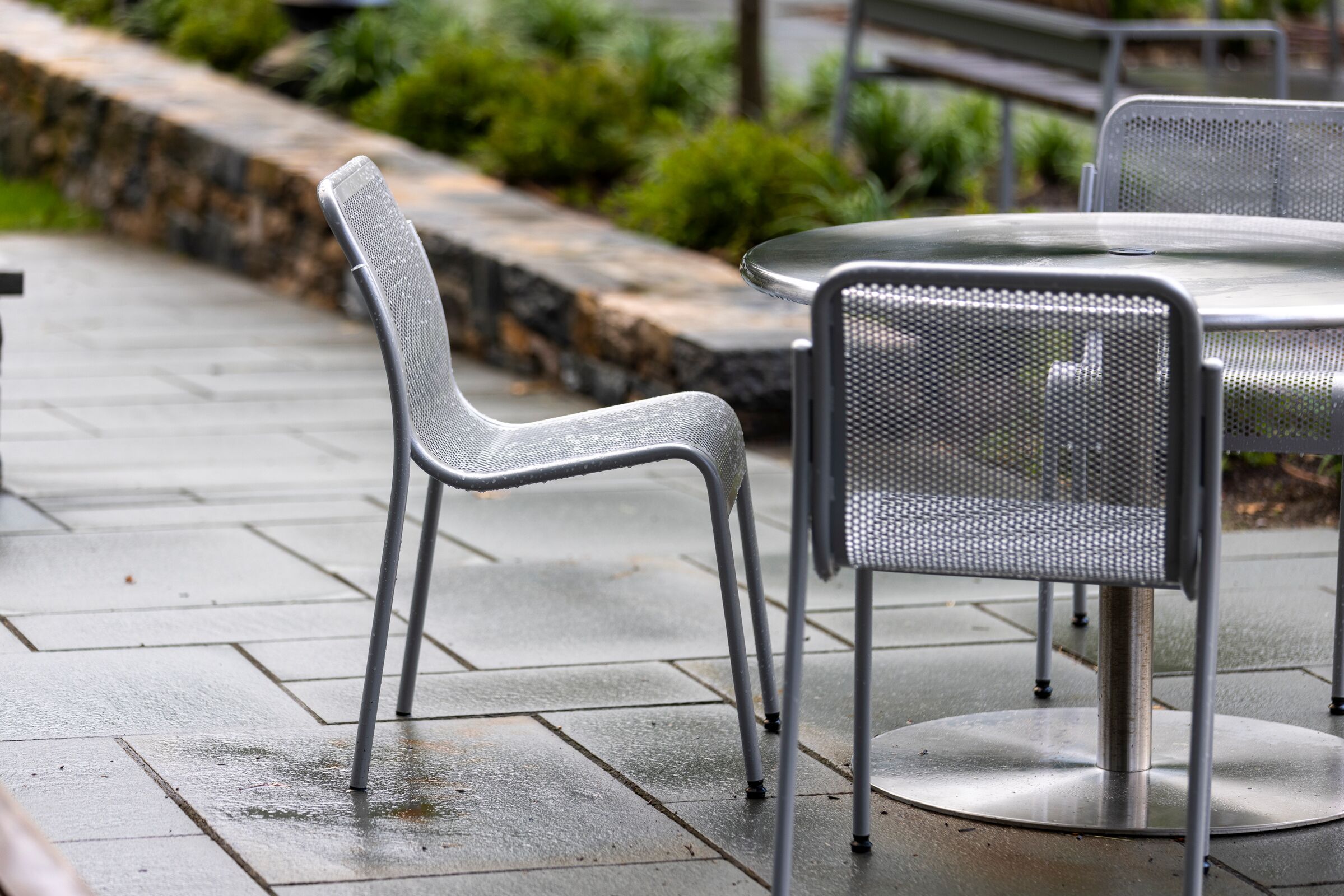 Vista Chair
