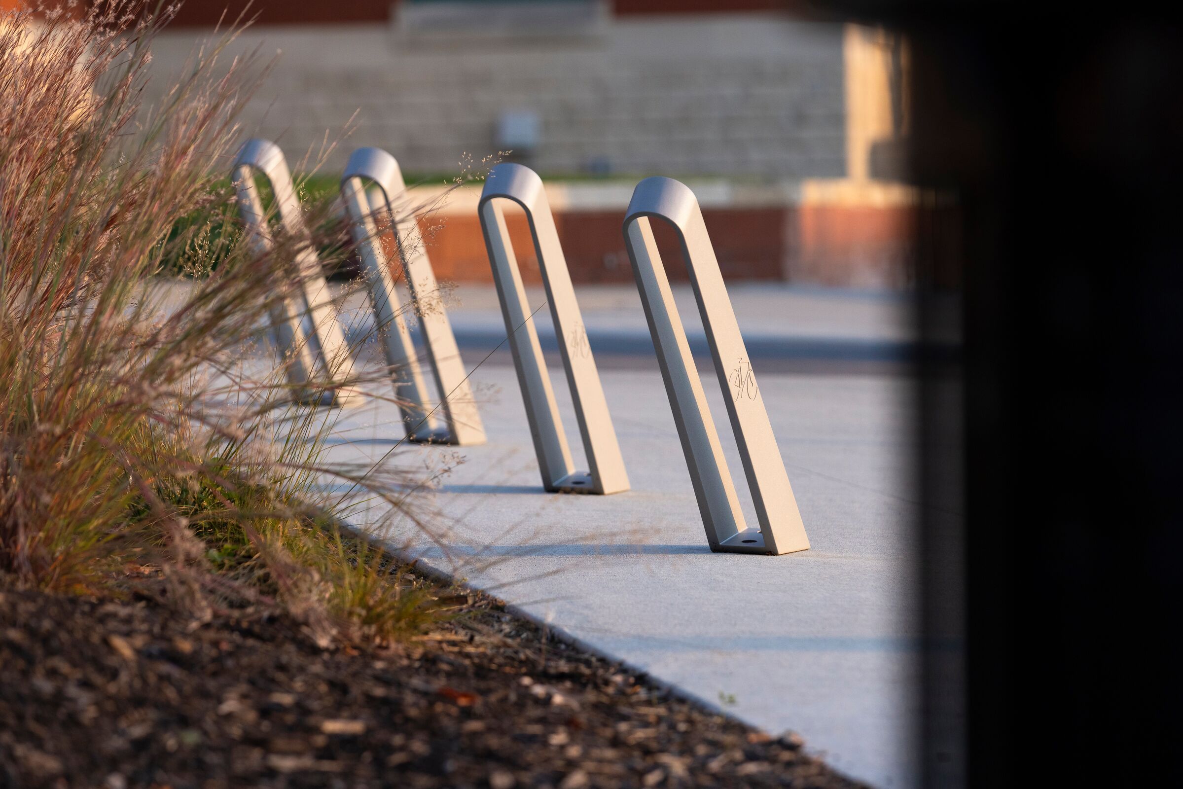 Bay City Bike Rack