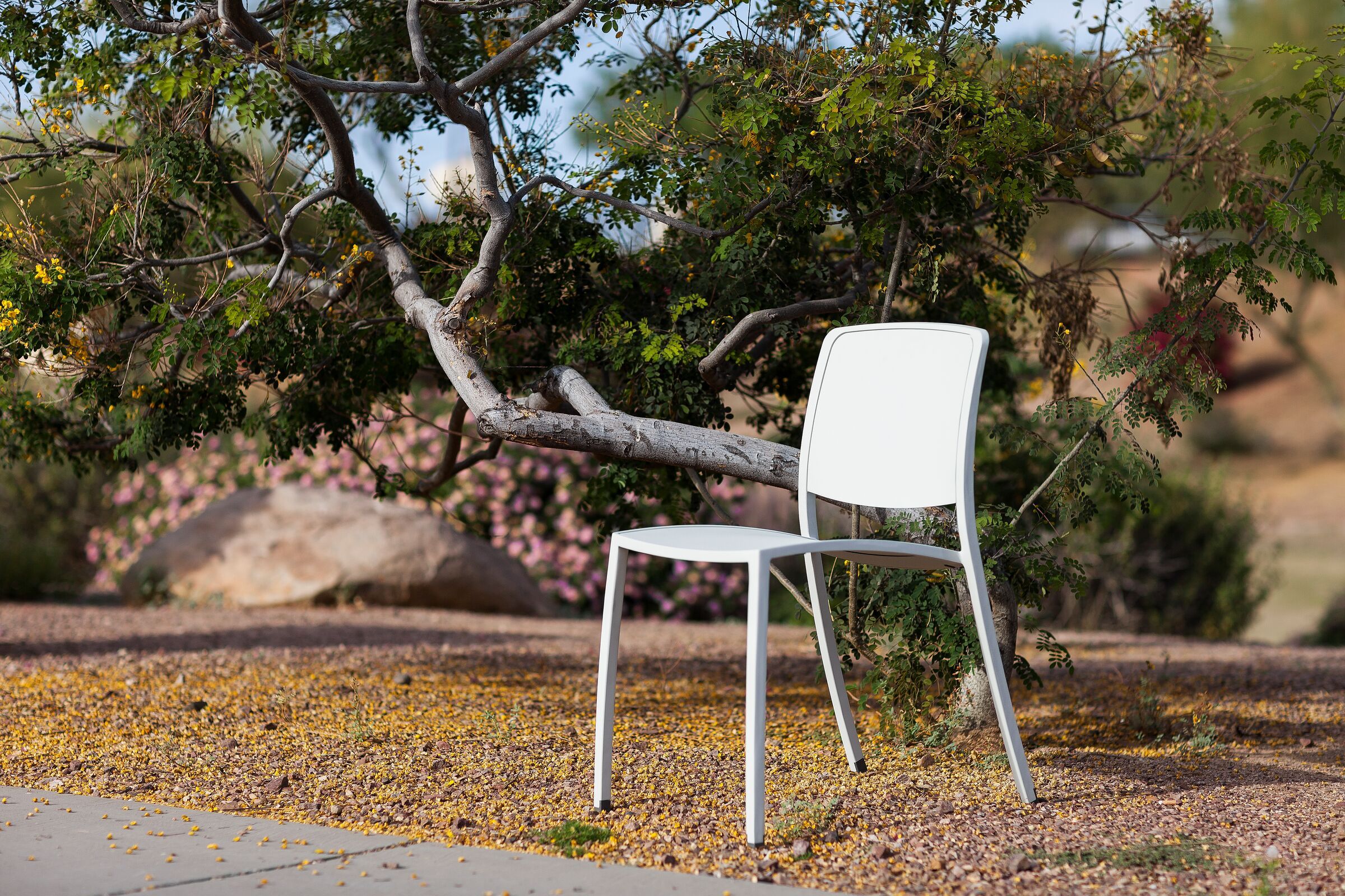 Forms+Surfaces Avivo Chair