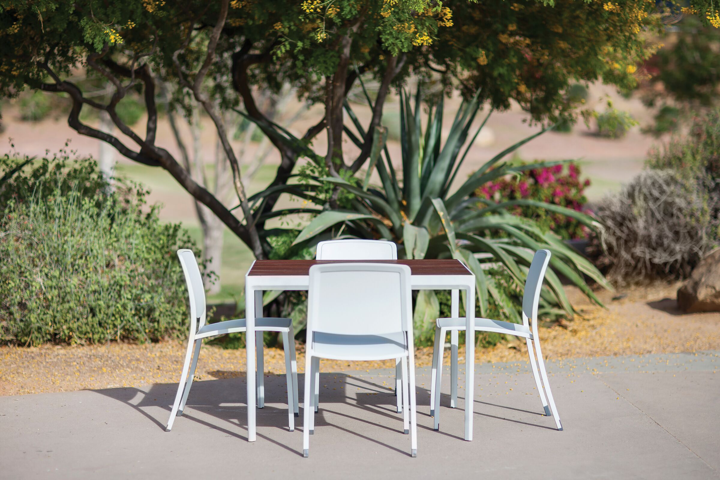 Avivo Table